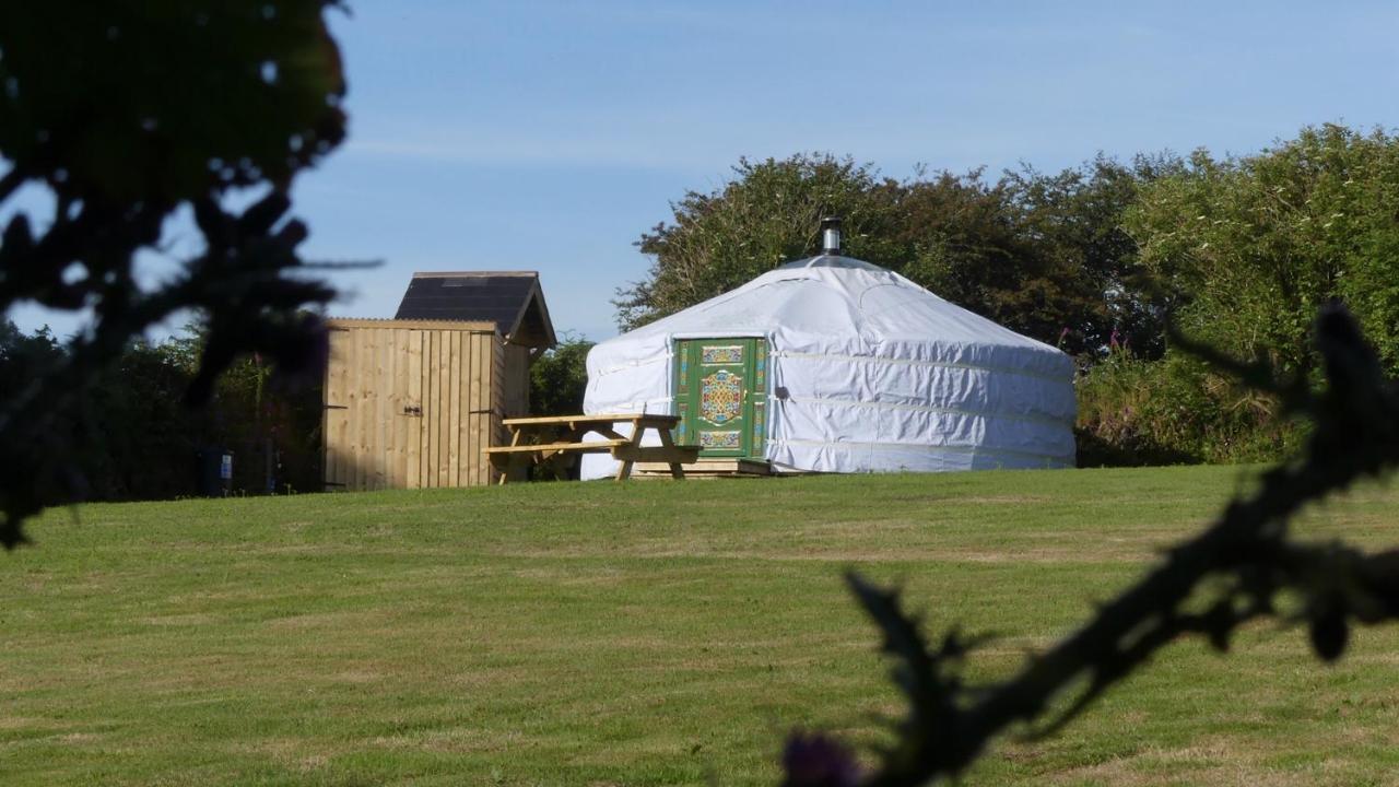 Higher Trenear Farm Yurts * Helston