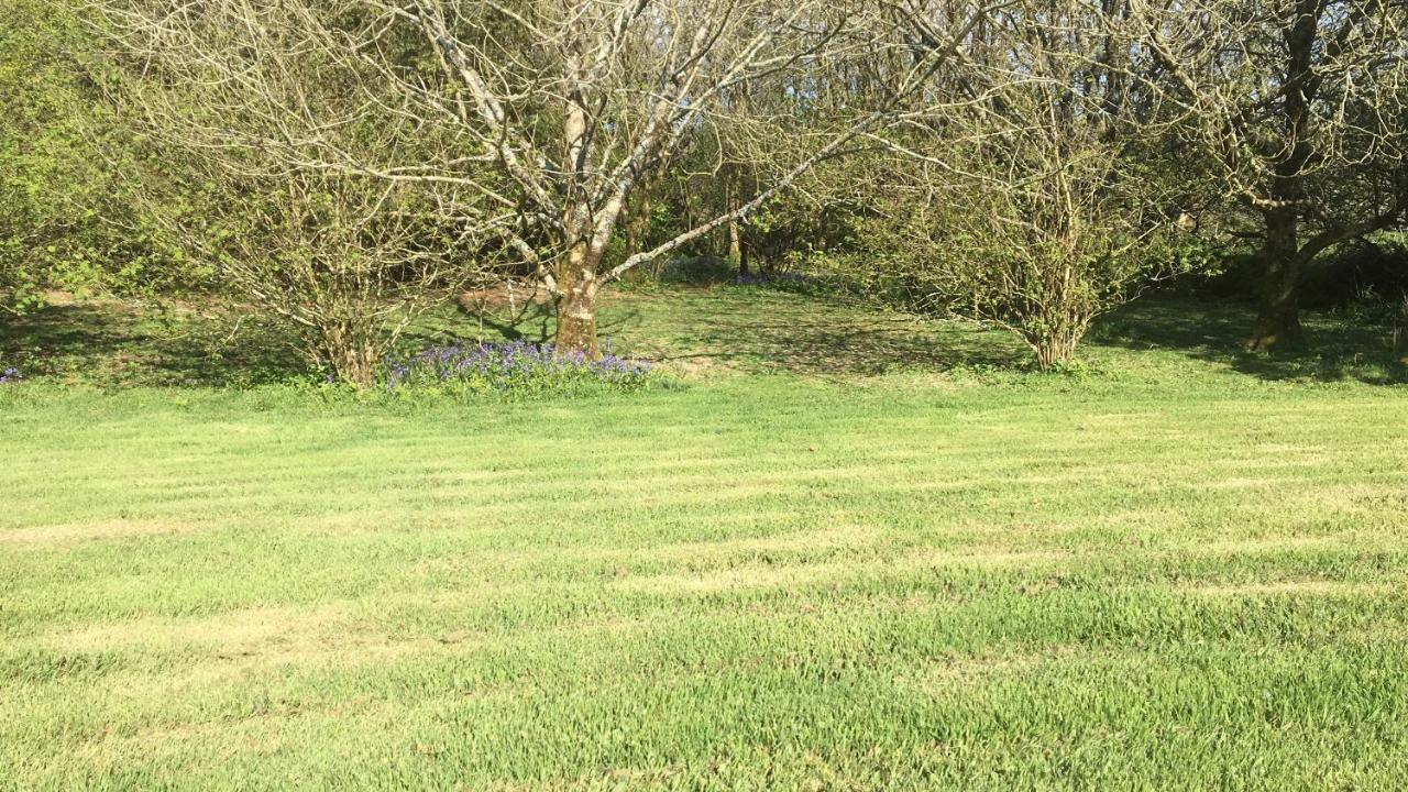 Luxury tent Higher Trenear Farm Yurts Helston