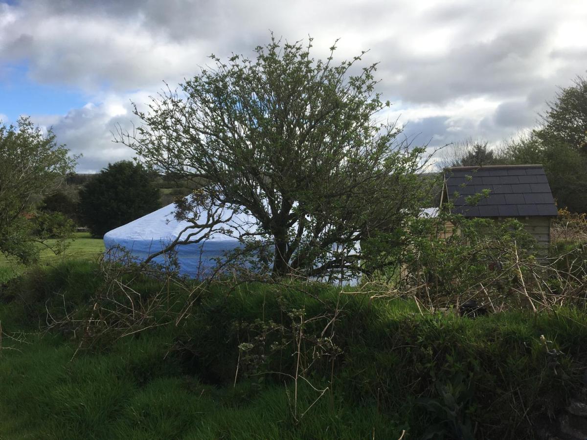 Higher Trenear Farm Yurts